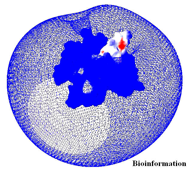 Figure 19