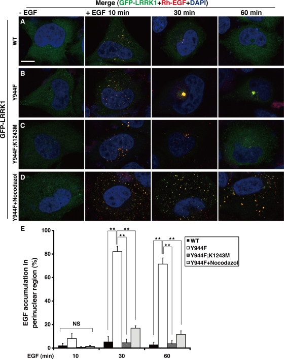 FIGURE 4: