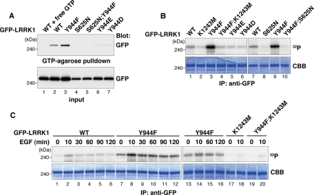 FIGURE 2: