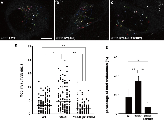 FIGURE 3: