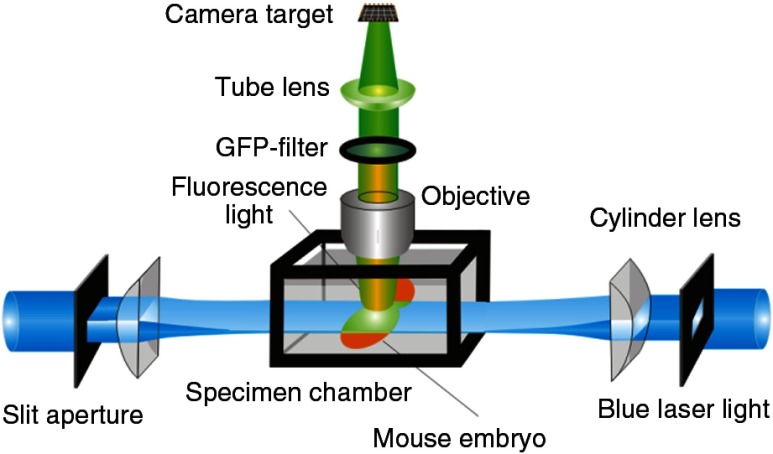 Fig. 1