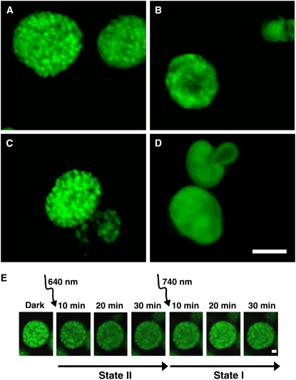 Figure 5.