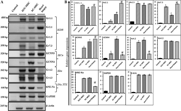 Fig. 4