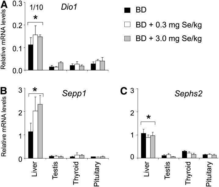 FIGURE 3 