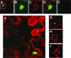 FIG. 4.