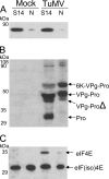 FIG. 5.