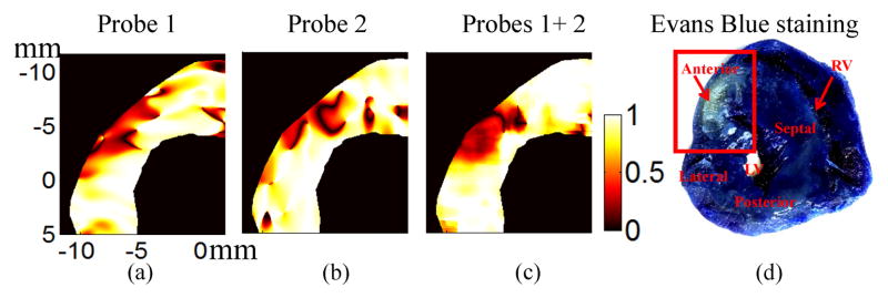 Fig. 7