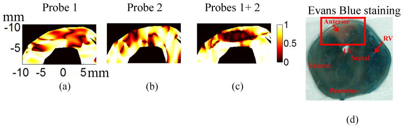 Fig. 8