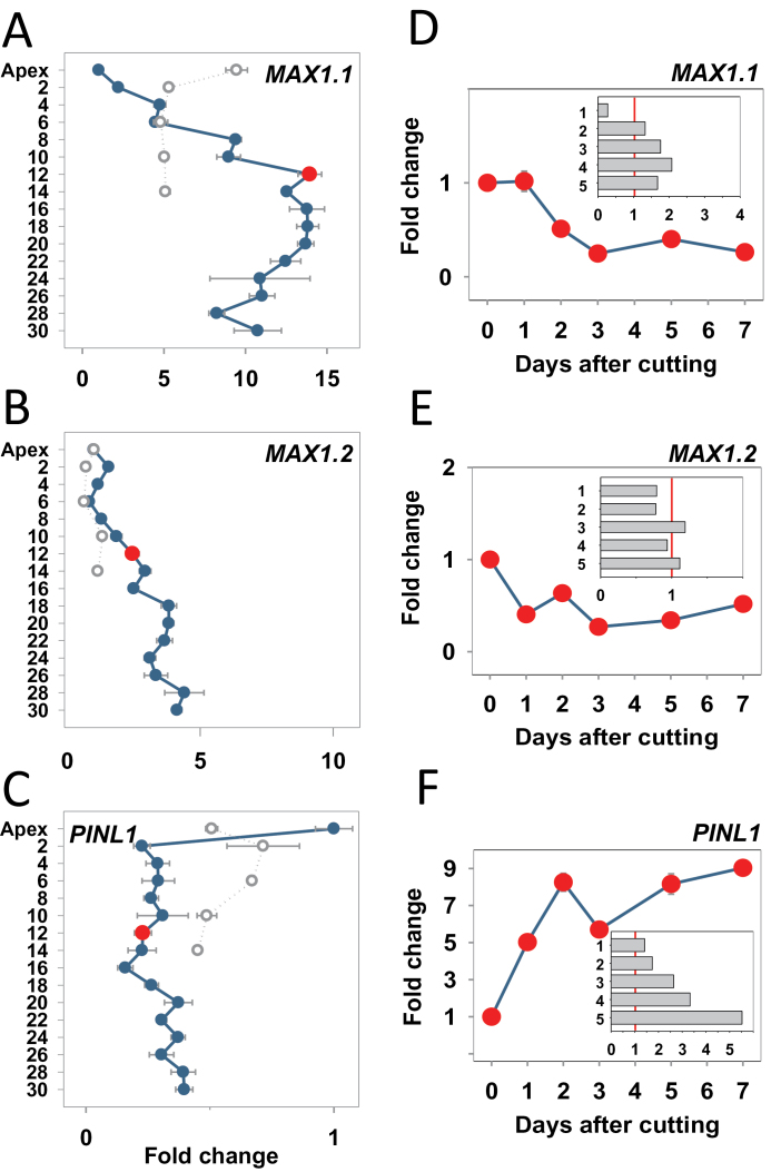 Fig. 8.