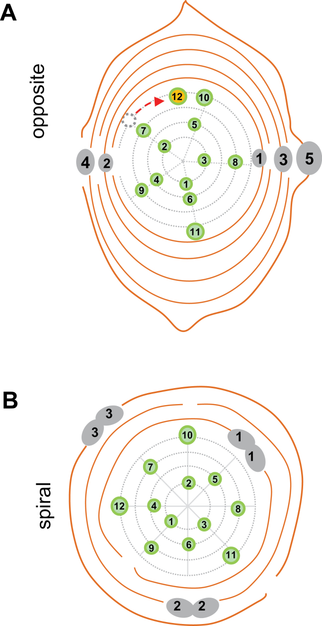 Fig. 3.