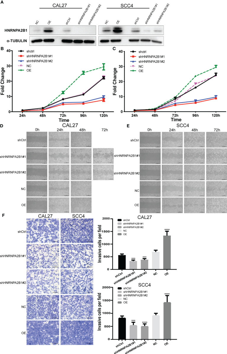 Figure 6