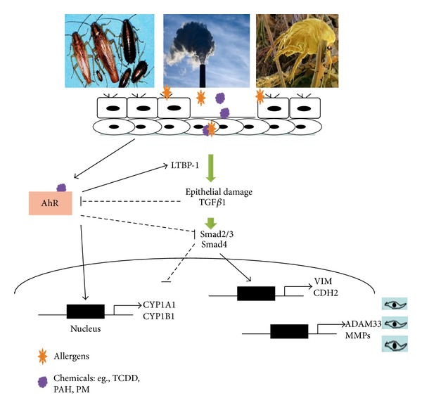 Figure 7