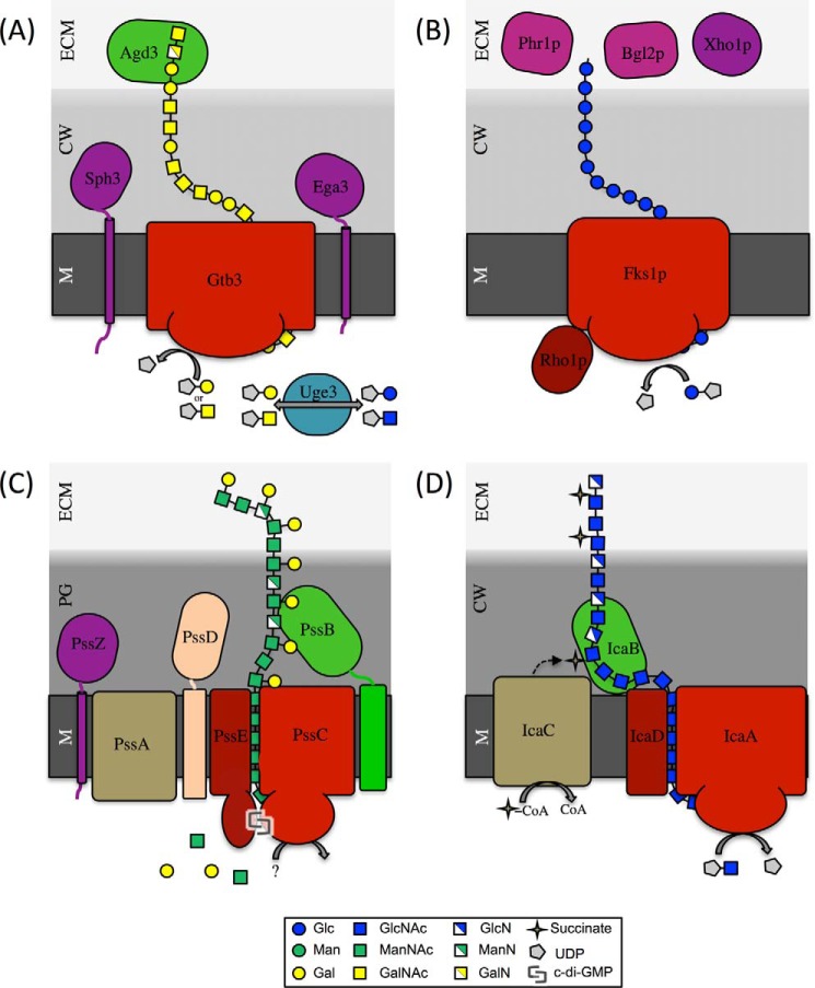 FIGURE 1.