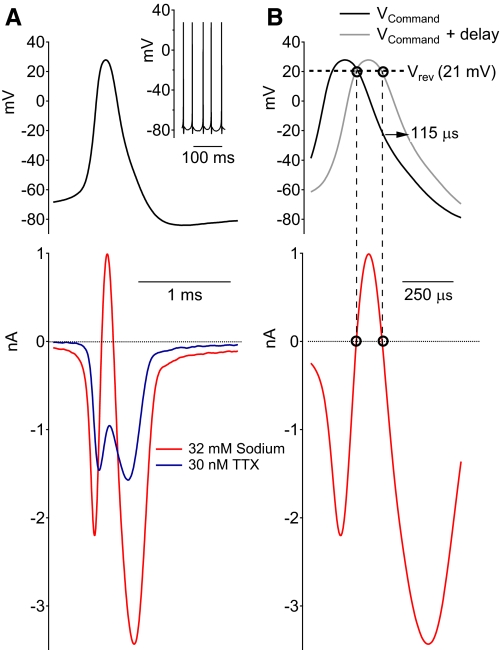 Fig. 2.