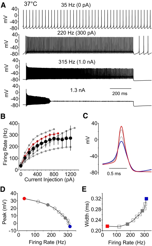 Fig. 8.