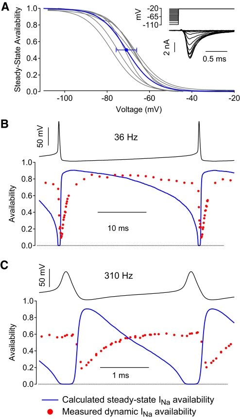 Fig. 11.