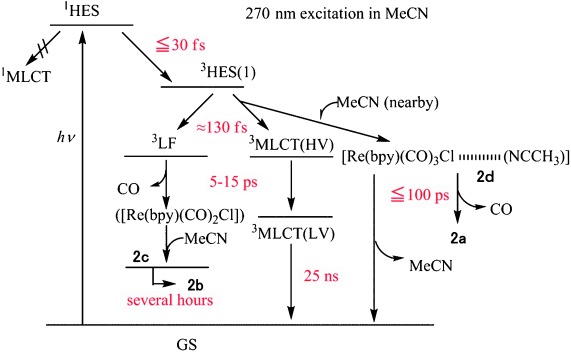 Figure 21