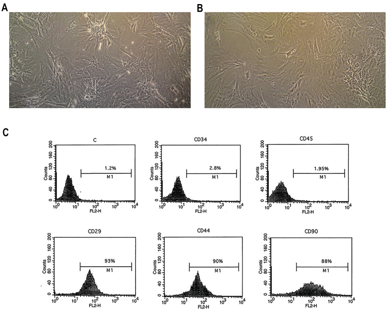 Fig.1