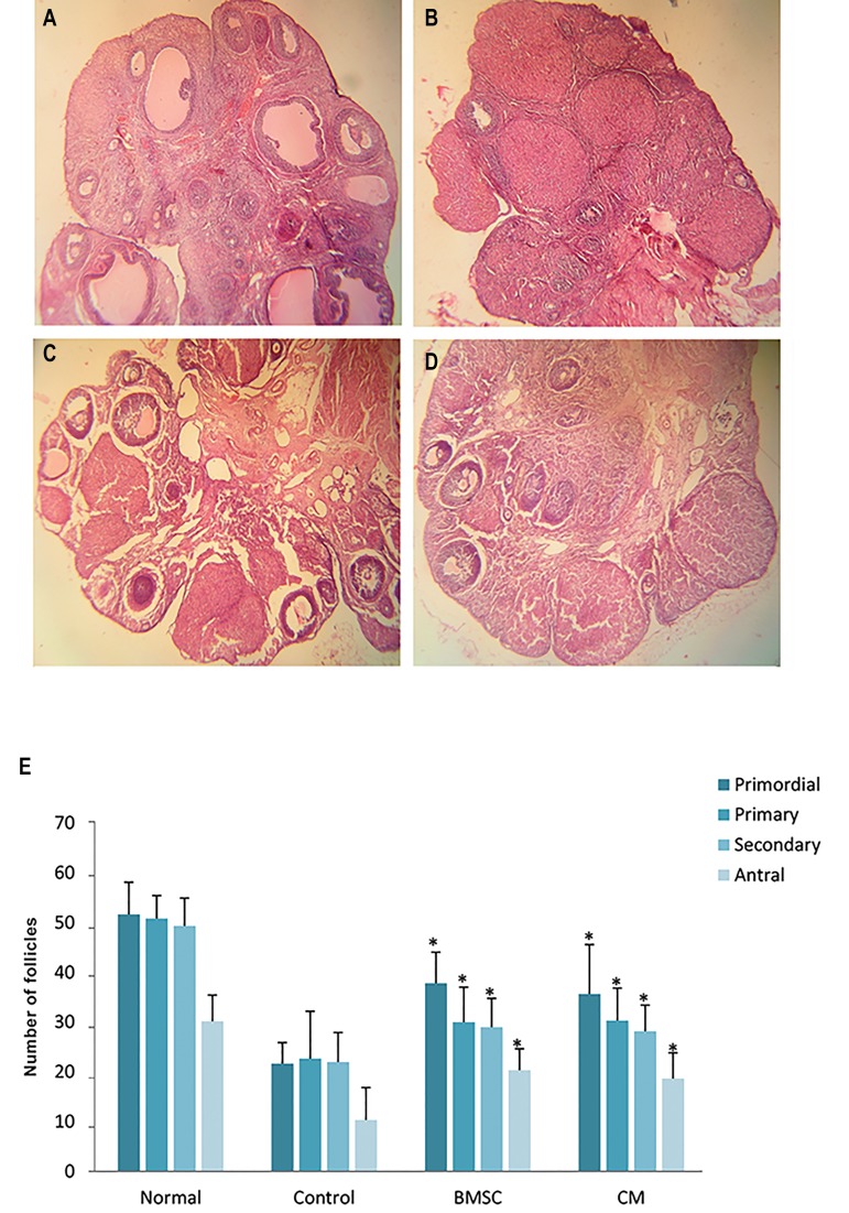 Fig.6