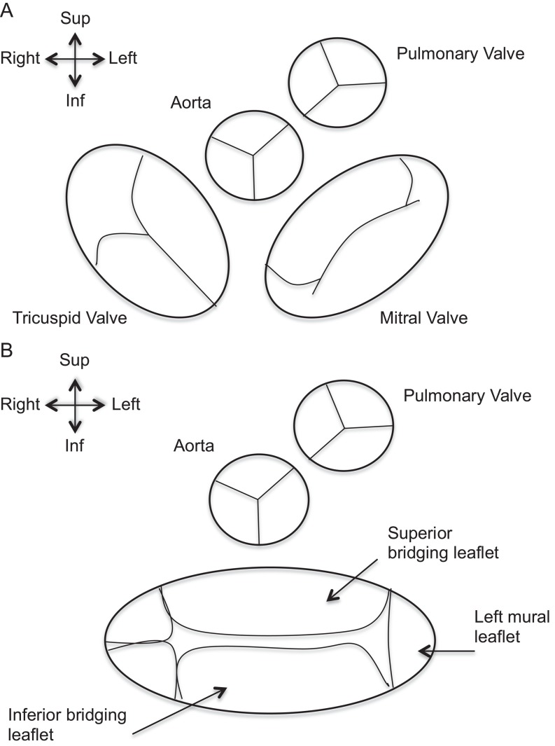 Figure 20