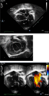 Figure 24