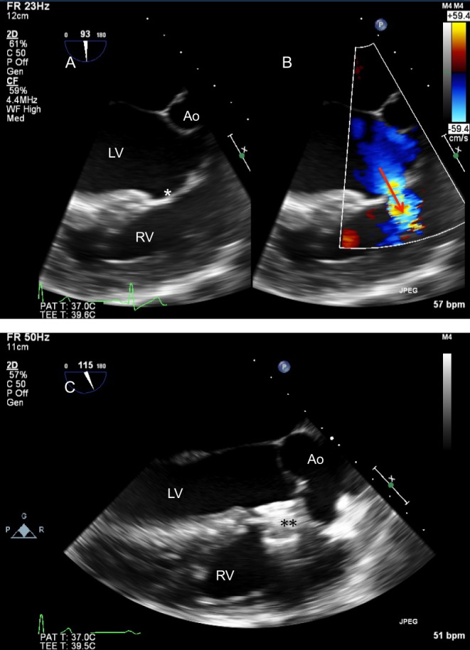 Figure 19