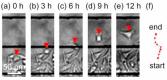 Figure 9