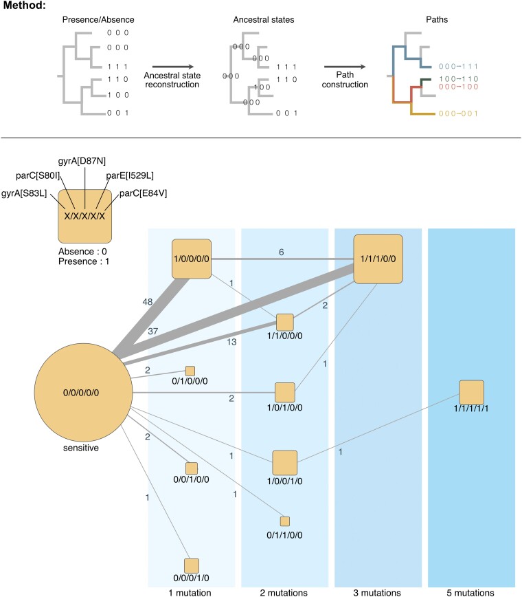 Fig. 3.