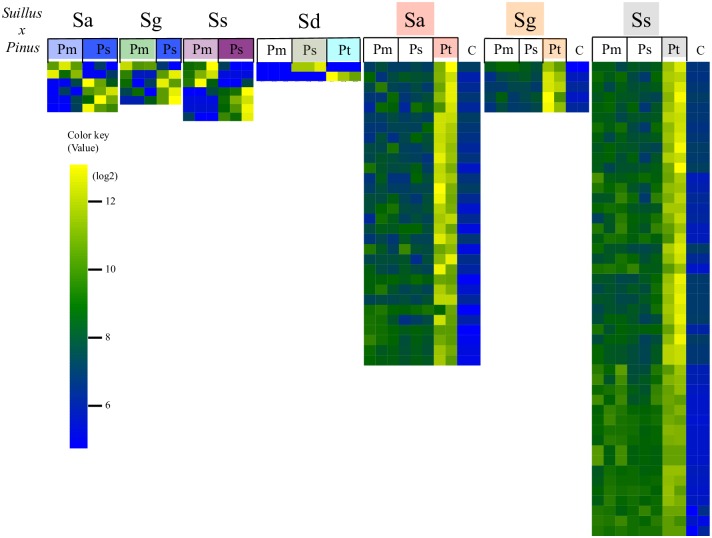 Fig 6