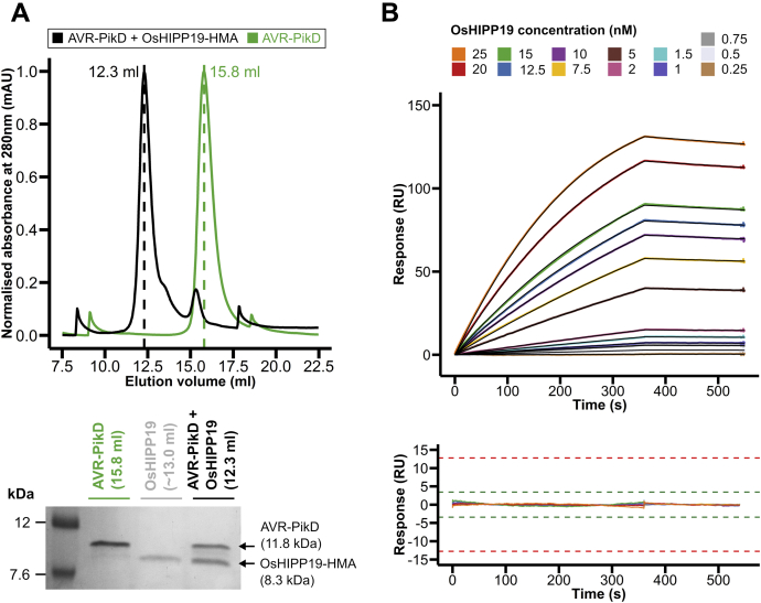 Figure 2