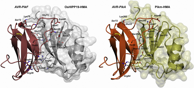 Figure 6