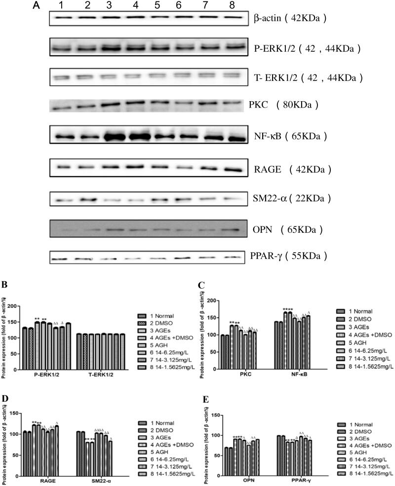 Figure 10.