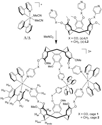 Scheme 1