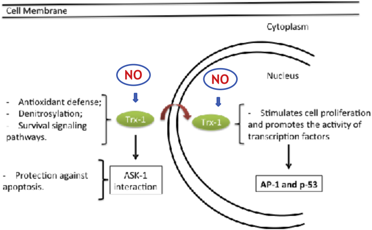 Fig. 3