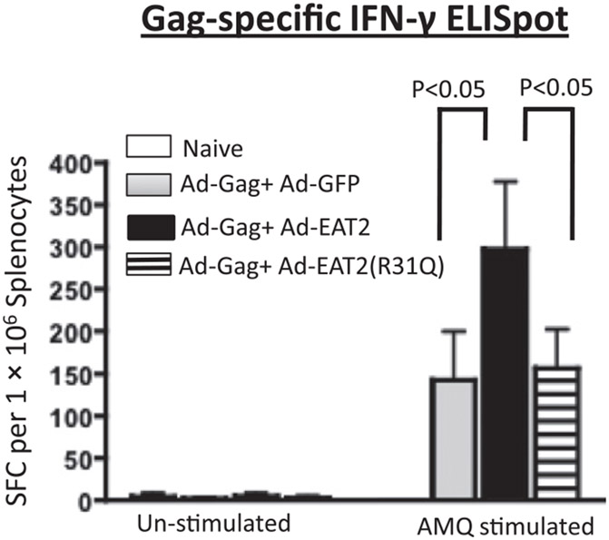 FIGURE 4.