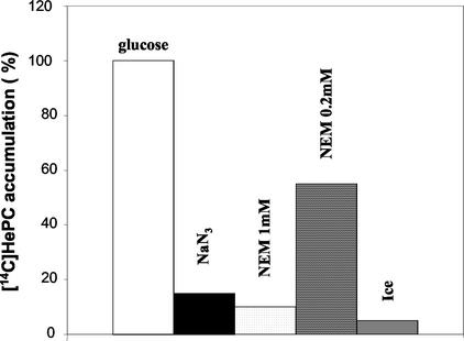 FIG. 5.