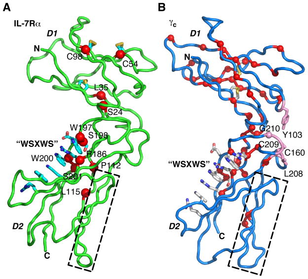 Fig. 8