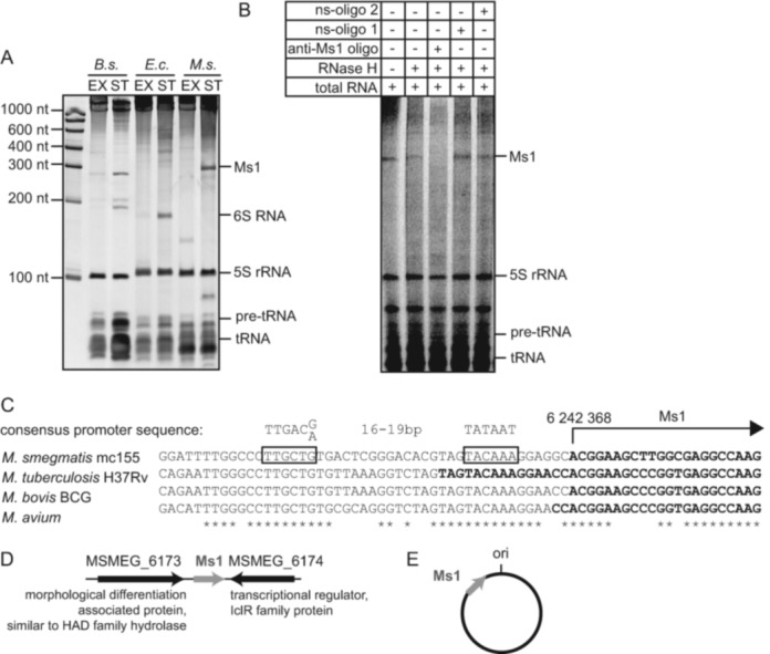 Figure 1.