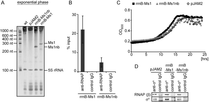 Figure 5.