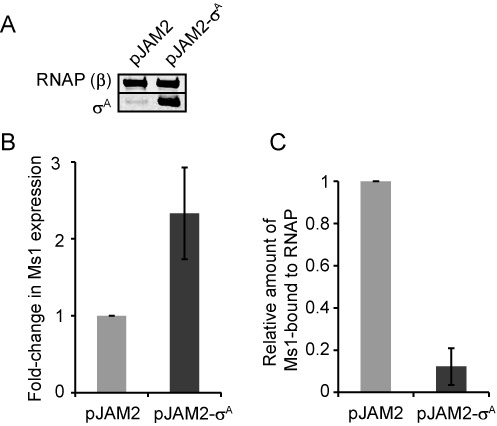 Figure 6.