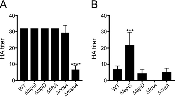 FIG 7