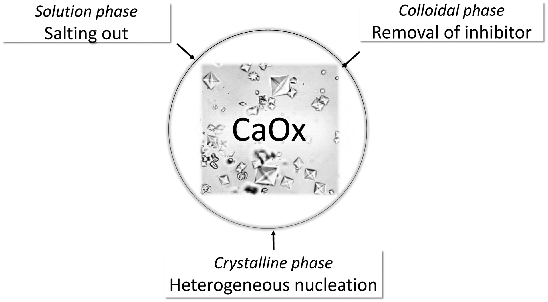 Figure 4: