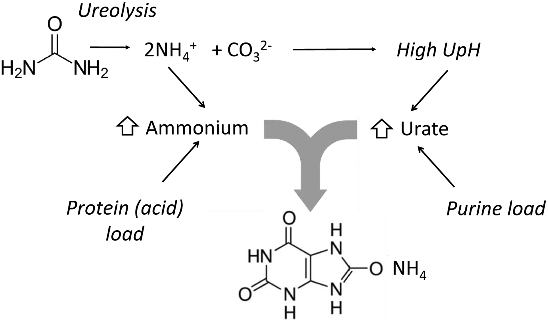 Figure 5: