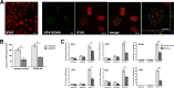 FIG 6