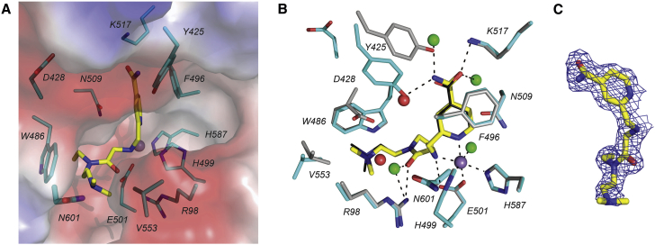 Figure 2