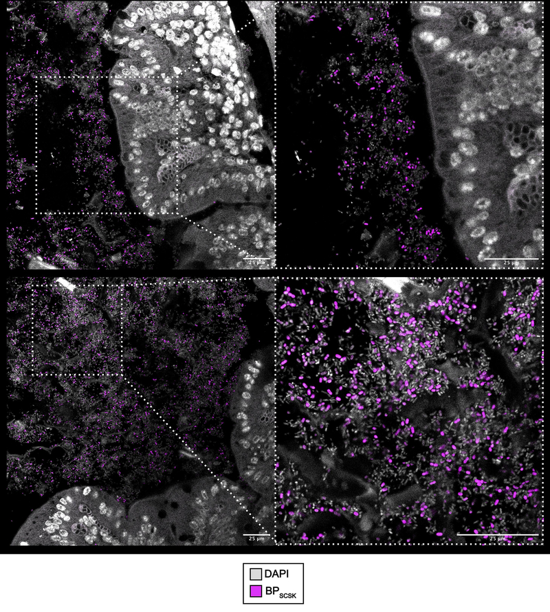 Extended Data Figure 3 |