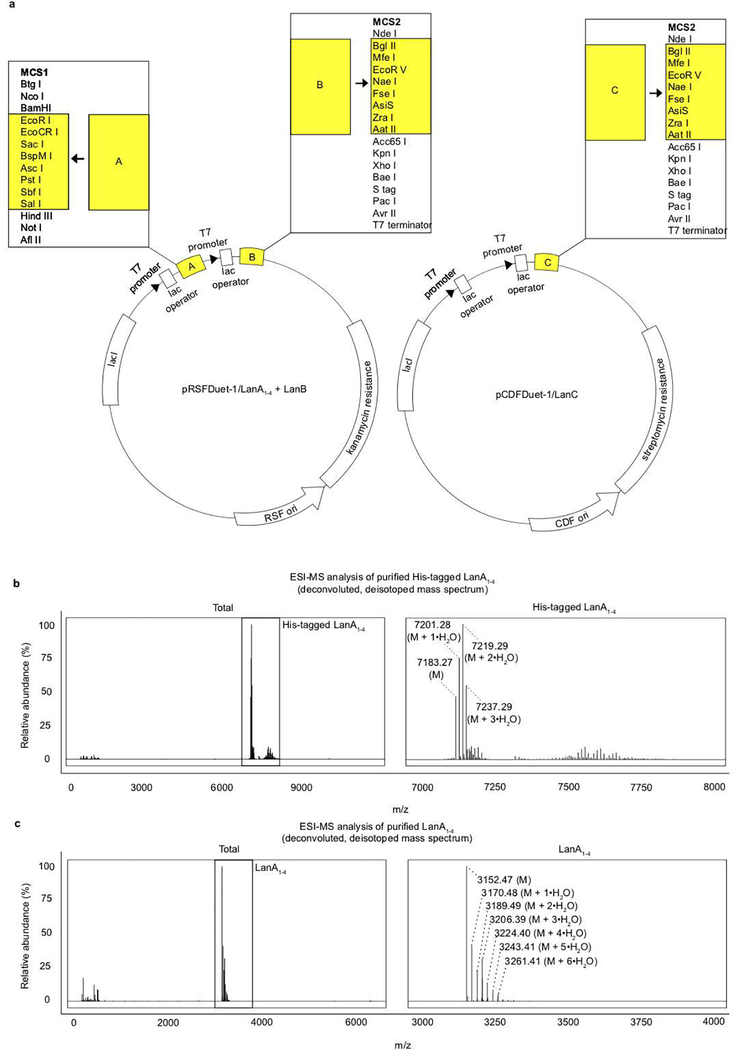 Extended Data Figure 6 |