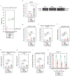 Extended Data Figure 4 |
