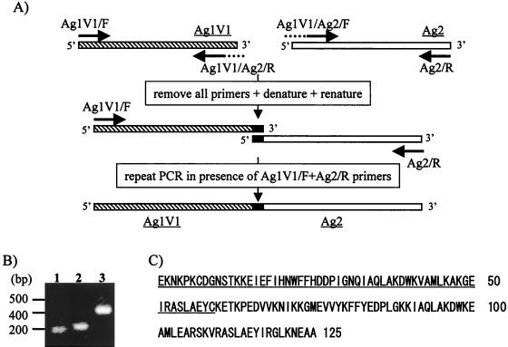 FIG. 3