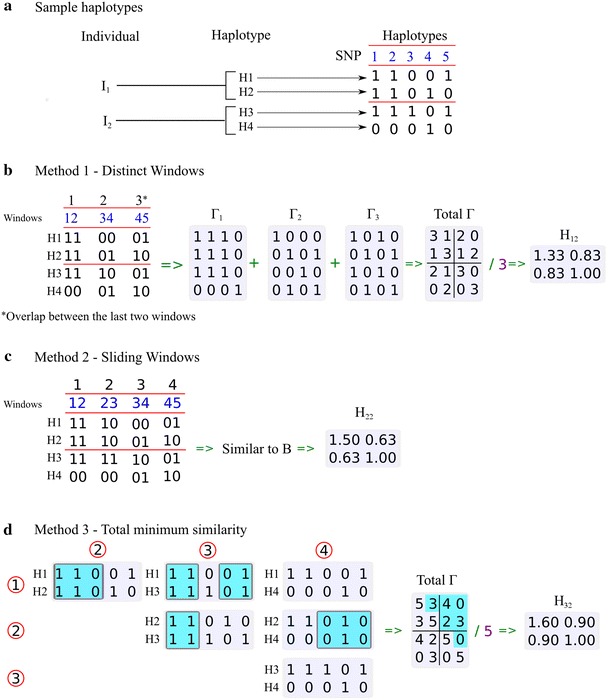 Fig. 1